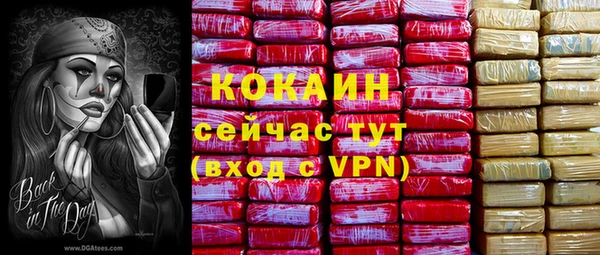 индика Дмитровск