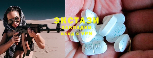 индика Дмитровск