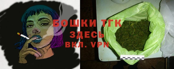 индика Дмитровск