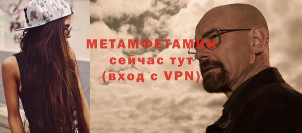 индика Дмитровск
