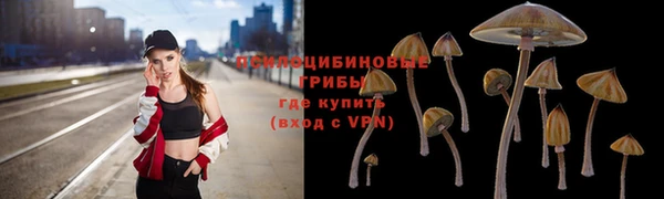 мескалин Елизово