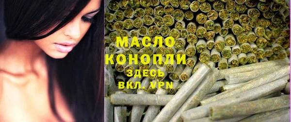 индика Дмитровск