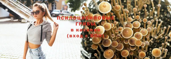 амфетамин Ельня