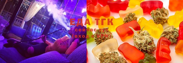 индика Дмитровск