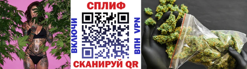 Купить закладки  Новохопёрск  Бошки Шишки семена 